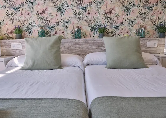 A Solaina 2 * O Pino